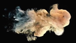 โตชิบา ดีเวลลอปเปอร์ พาวเดอร์ D5070 500ก. สำหรับ e-STUDIO